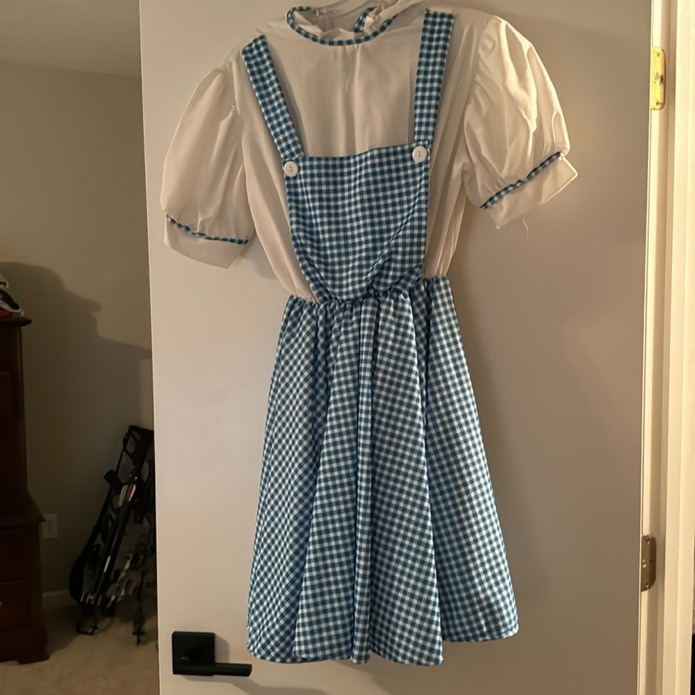 Women’s size small Dorothy from the Wizard of Oz Halloween costume